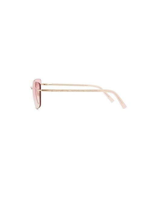 Lu Goldie Pink Portia Sunglasses