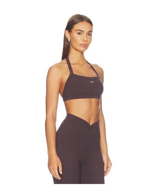 437 Brown The Halter Bra