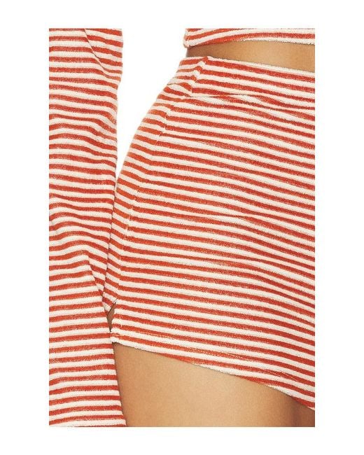 Stone Cold Fox Multicolor X Revolve Isabel Terry Short