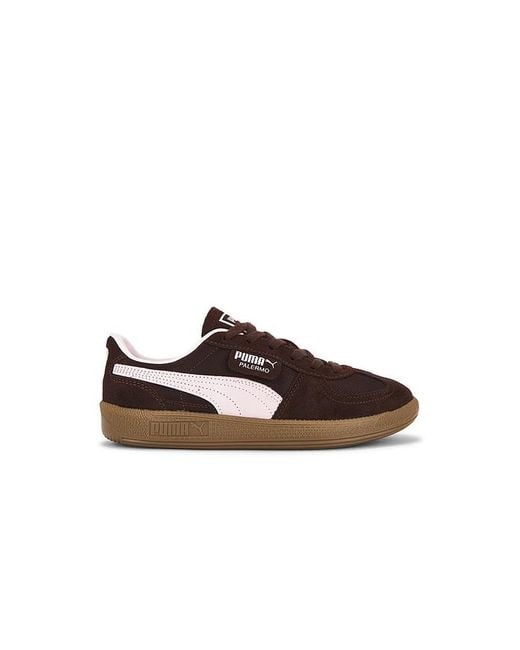 PUMA Brown Palermo Vintage Sneaker