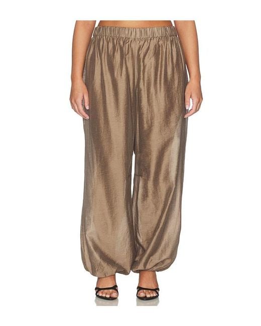 L'academie Natural 'Academie Harmi Pant