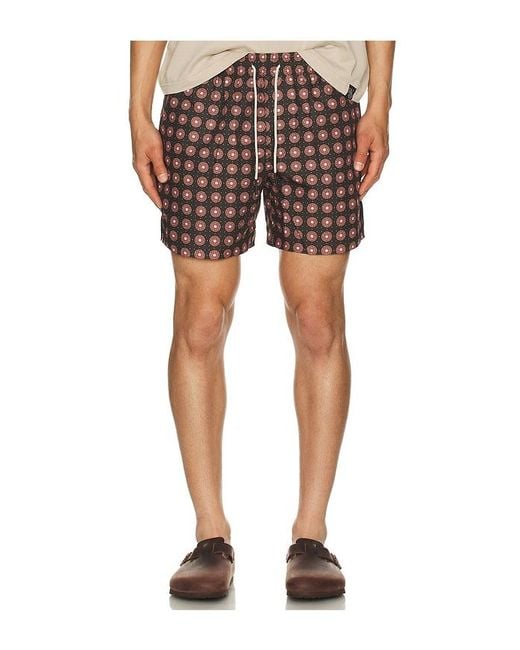 Oas Multicolor Coffee Lumo Swim Shorts for men