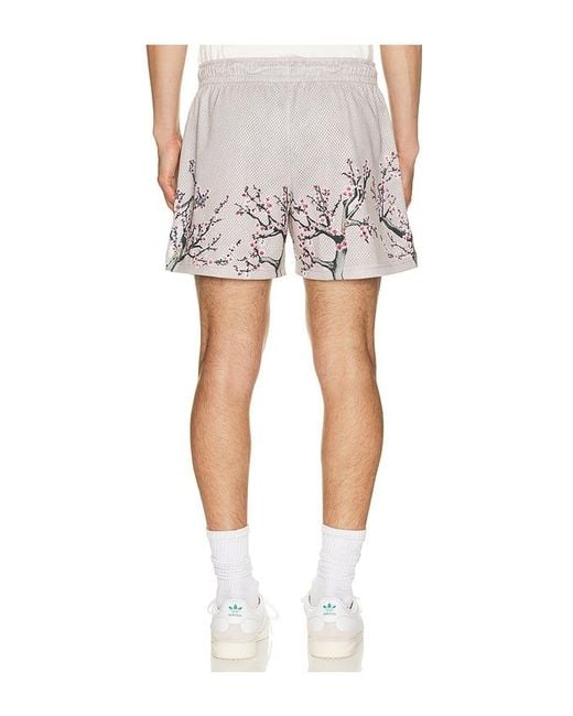 Ryoko Rain White Cherry Blossom Shorts for men