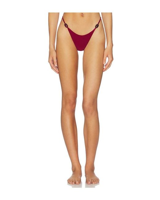 Kapri Multicolor Sienna Bikini Bottom