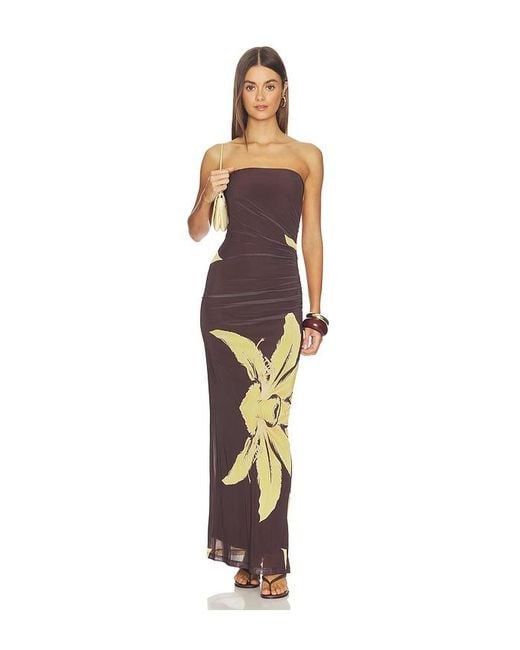 Bardot Multicolor Ciera Strapless Mesh Dress