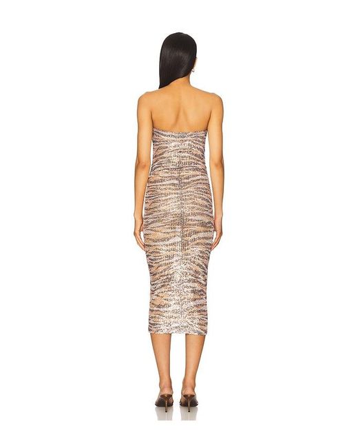 Le Superbe Multicolor Tigress Tube Dress