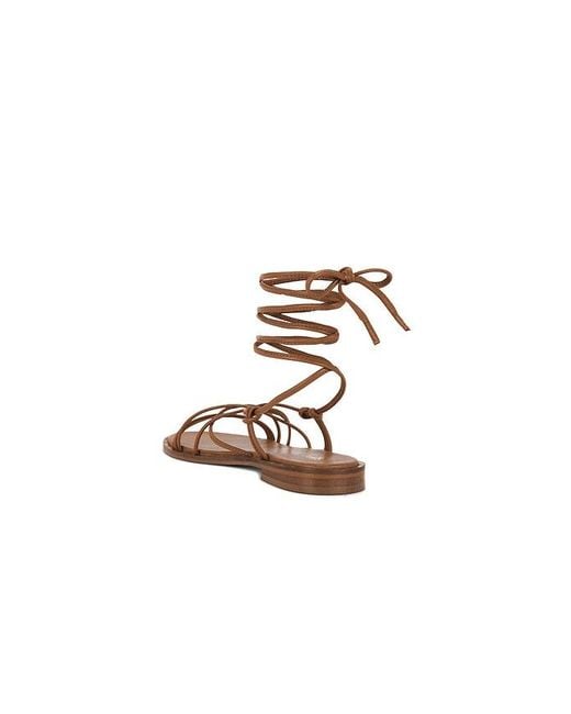 Seychelles Multicolor Lighthouse Sandal