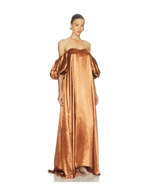 Caroline Constas Multicolor Kleid Palmer