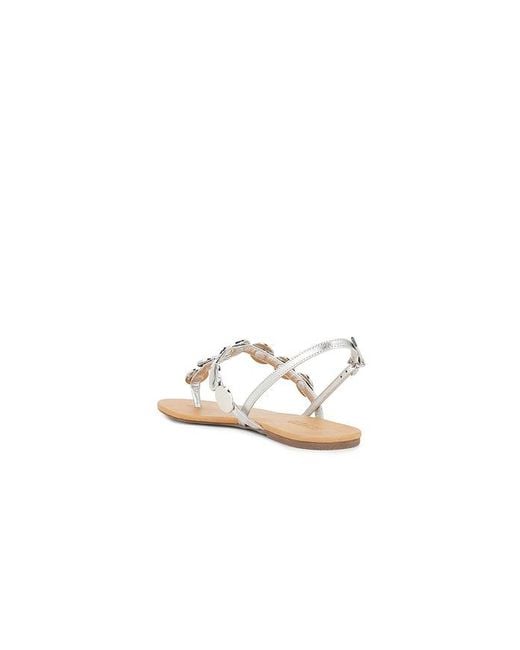 SCHUTZ SHOES White Acacia T Sandal