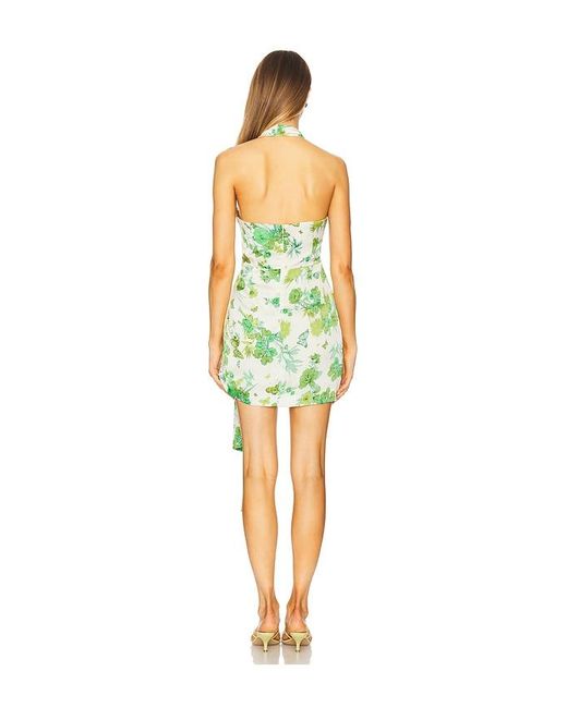 elliatt tess halter mini dress Tess Floral Halter Mini Dress in Green