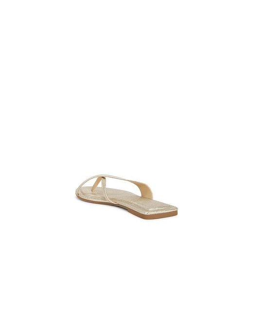 Dolce Vita White Lenex Thong Sandal
