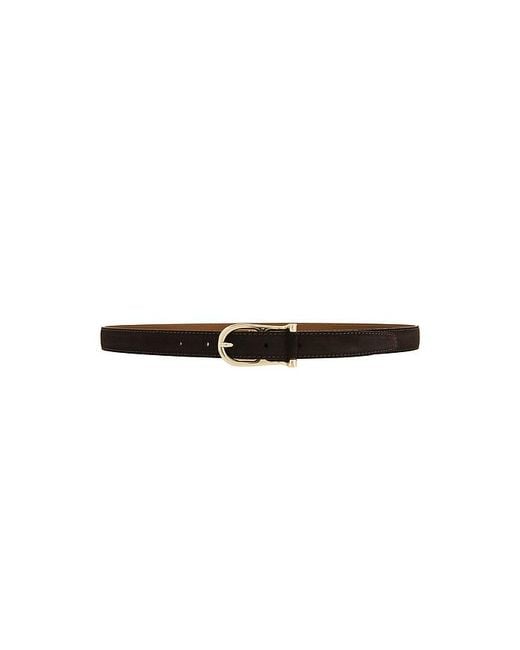 Flattered Black Betty Belt