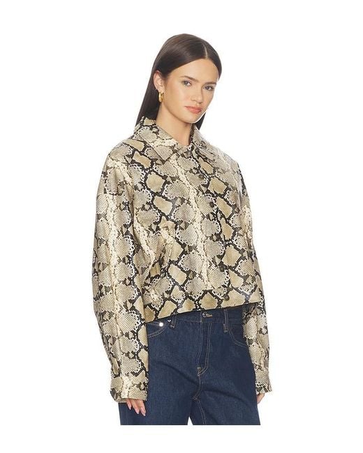 Lioness Blue Angel Jacket