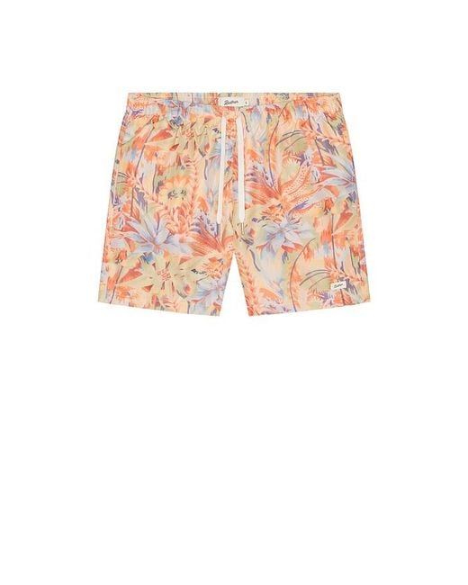 Bather Red Macaw Jungle Swim Trunk for men