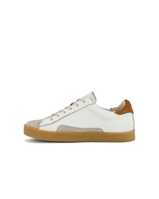 sam edelman mens sneakers