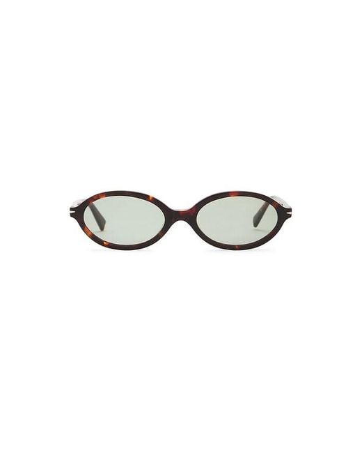 SAD Eyewear Multicolor Orchid Tinted Sunglasses for men