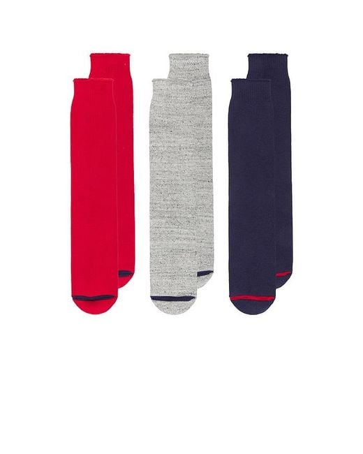 Polo Ralph Lauren Red Three Bear Socks Gift Box for men