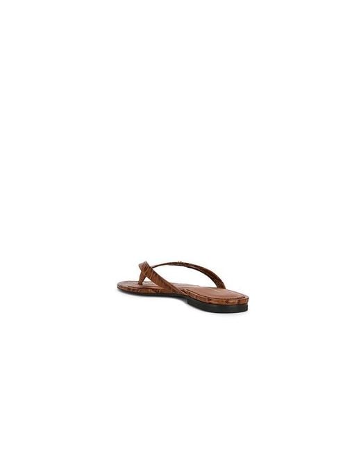 Anine Bing Brown Noelle Thong Sandal