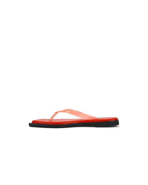Dirt White Flip Flops