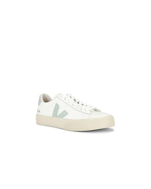 Veja White Campo Sneaker