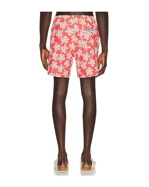 Trunks Surf & Swim Red Sano 6.5 Swim Short for men