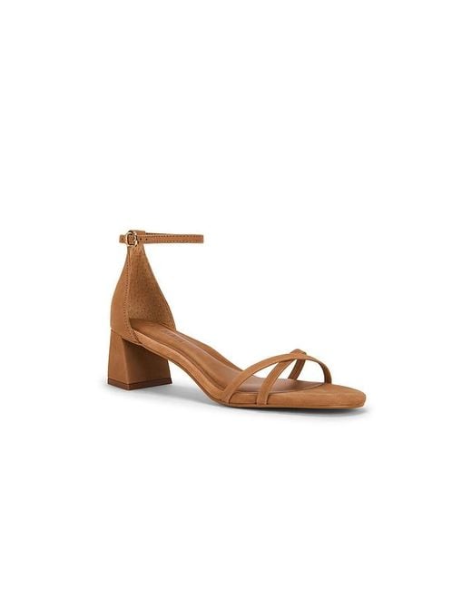 Steve Madden Multicolor Rae Sandal