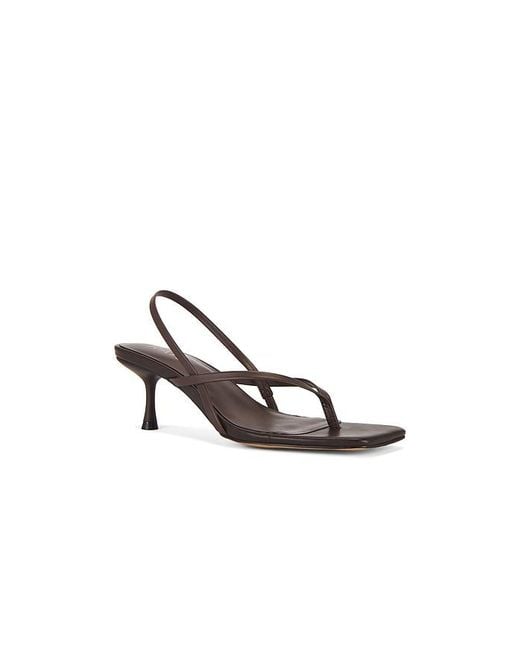 Raye Brown Puce Sandal