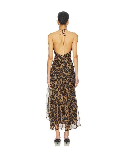 Bardot Multicolor Cyrel Printed Maxi Dress