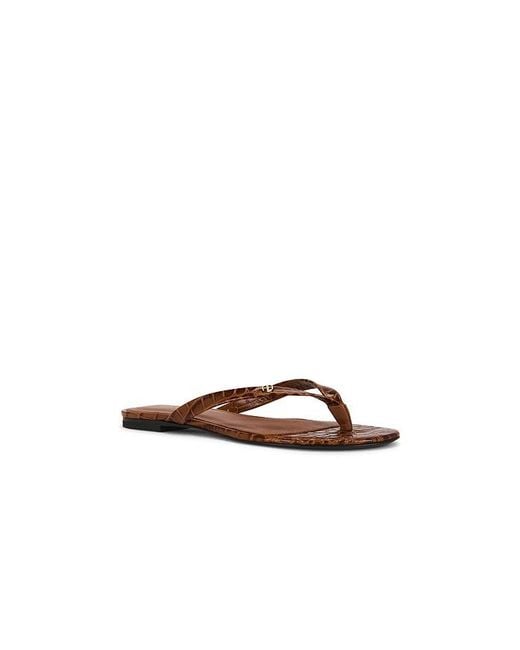 Anine Bing Brown Noelle Thong Sandal