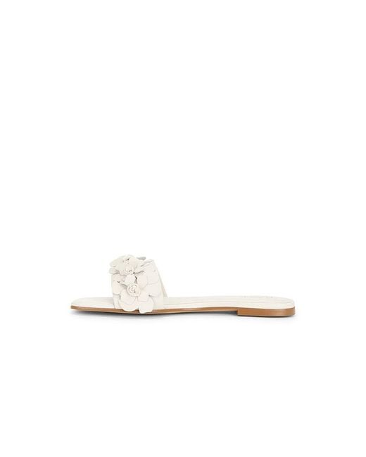 Raye White Iris Flat