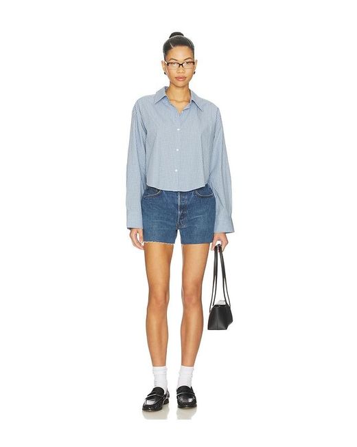 aligrace Blue Original Short