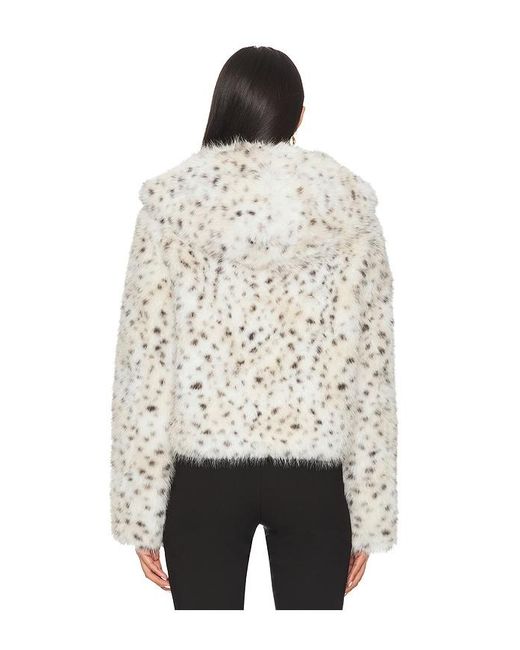 Free People Multicolor Louder Please Hooded Jacket