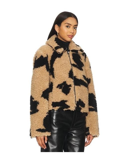 MSGM Brown Follow The Rabbit Jacket
