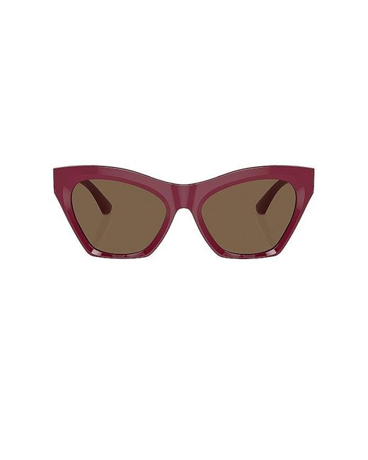 Burberry Brown Cat Eye Sunglasses