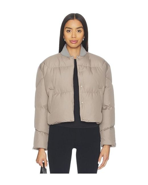 Khrisjoy Natural Bluebell Bomber