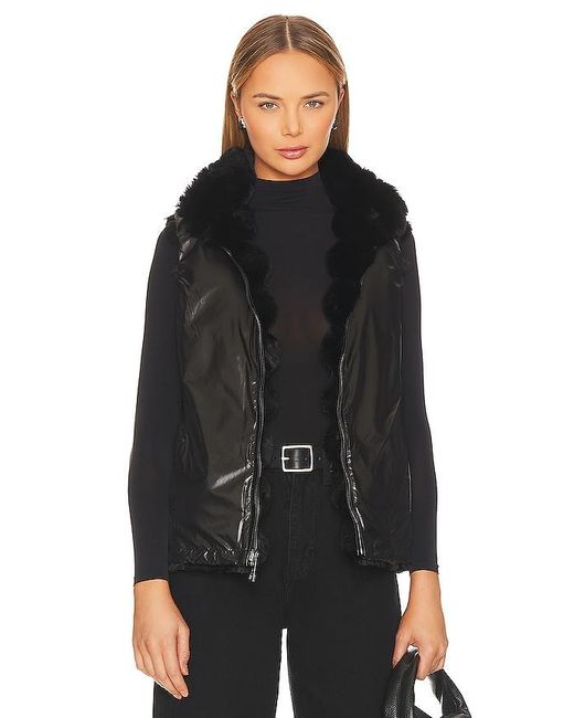 Jocelyn Black Plush Faux Fur Reversible Vest