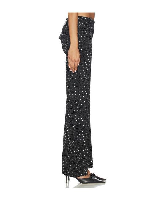 Tiger Mist Black Kittie Pant