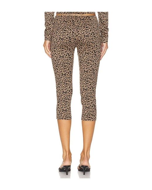 Lioness Multicolor X Revolve Capri