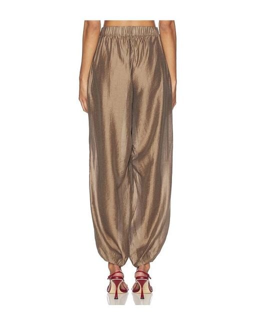 L'academie Natural 'Academie Harmi Pant