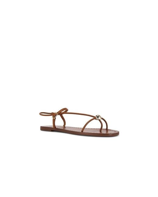 Loeffler Randall Brown Lara Strappy Flat Sandal