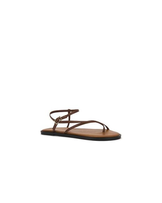 Atp Atelier Brown Capri Sandal