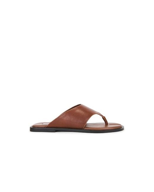 Steve Madden Brown Illia Sandal