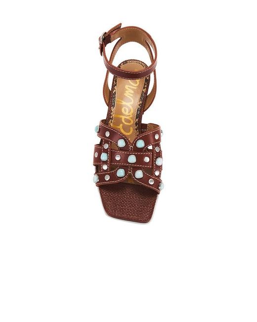 Sam Edelman Brown Wayla 2 Sandal