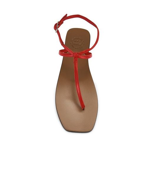 Atp Atelier Brown Alassio Sandal
