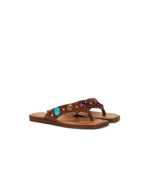 Seychelles Brown Top Of The World Sandal