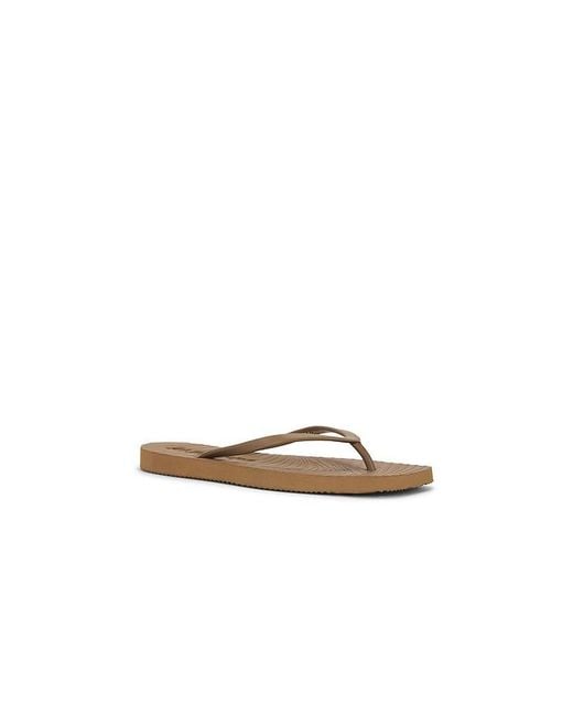 Sleeper Brown Tapered Flip Flop