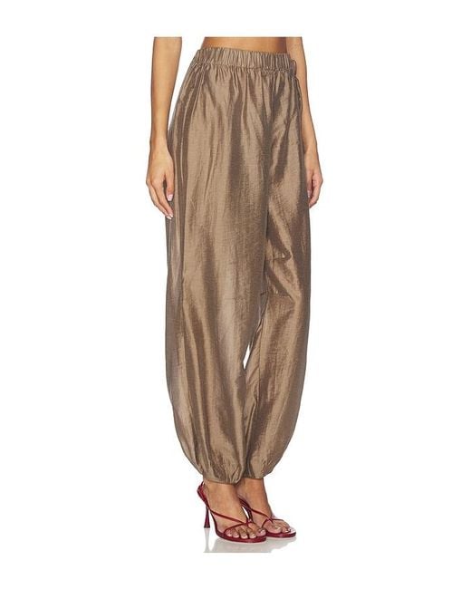 L'academie Natural 'Academie Harmi Pant