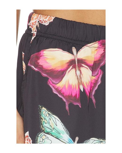 Juliet Johnstone White Mariposa Pant