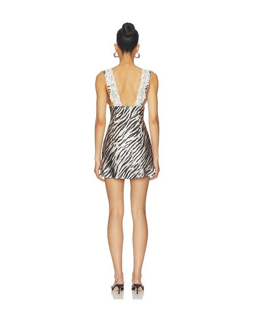 superdown Multicolor Saanvi Mini Dress