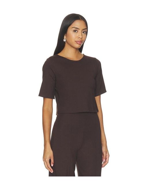 Ripley Rader Black Ponte Knit Short Sleeve Top